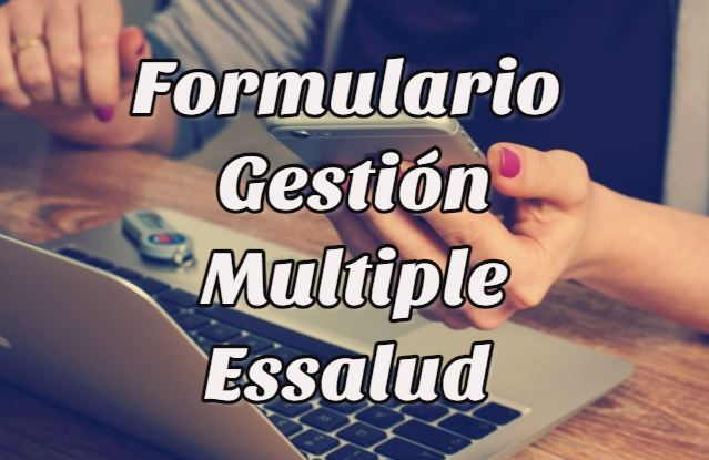 obtener formulario gestión multiple essalud