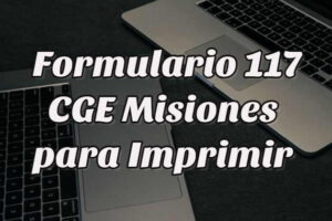 Cómo obtener el Formulario 117 CGE Misiones para Imprimir