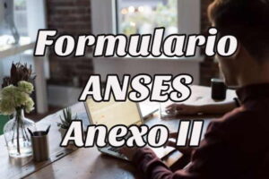 Cómo descargar el Formulario ANSES Anexo II